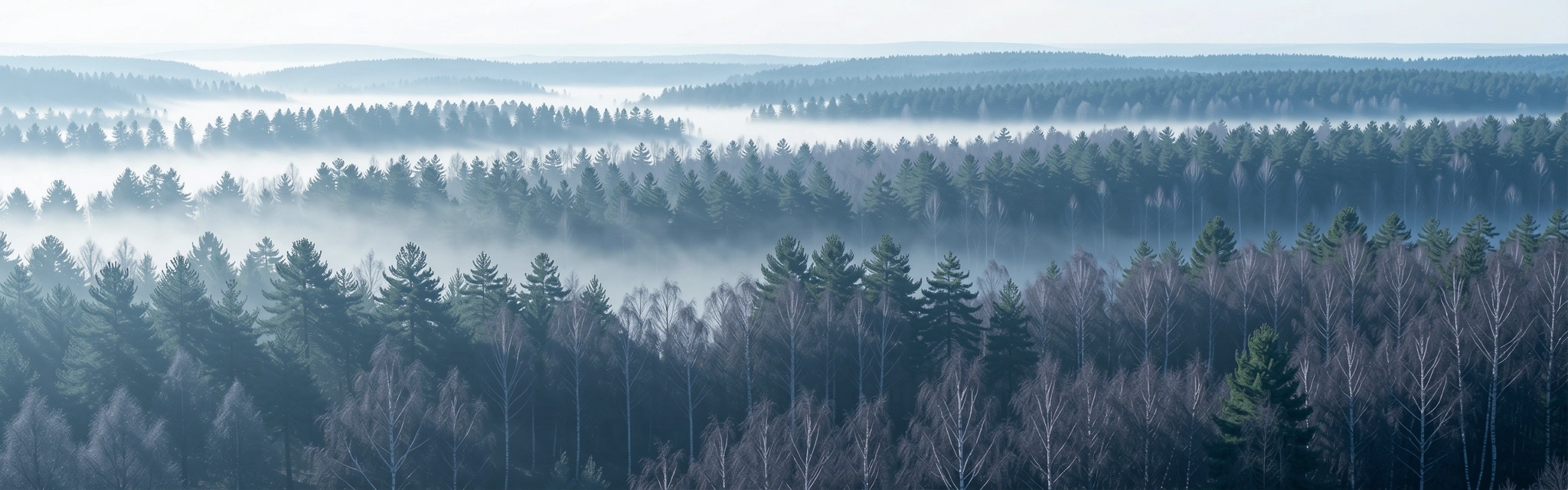Mediu natural și liniștit